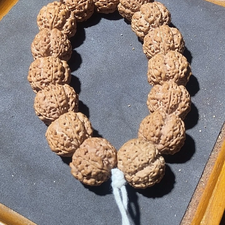 23尺寸原皮原色梅花蜂窝大金刚菩提手串