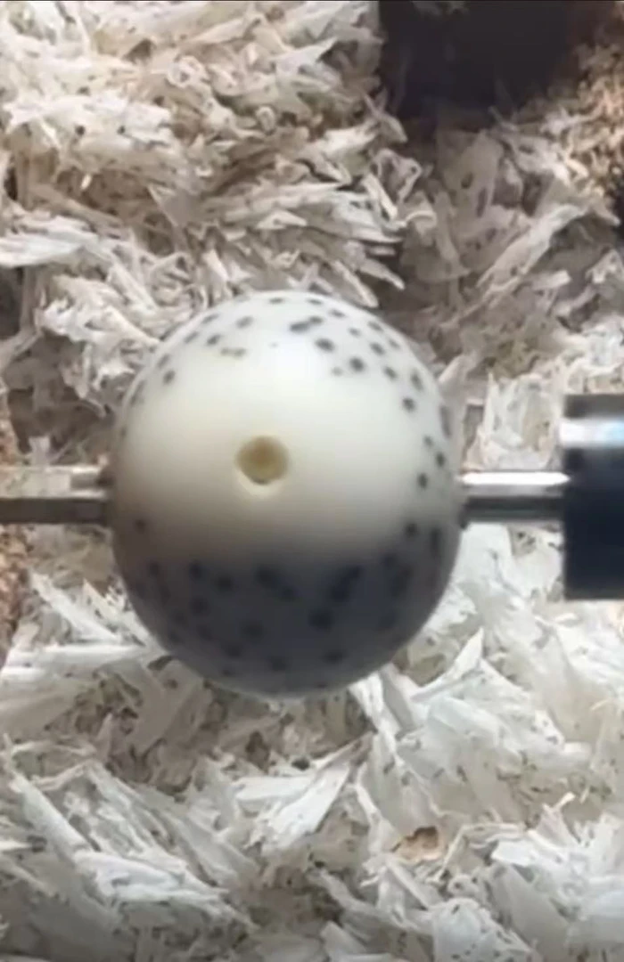 星月菩提海南石玉料