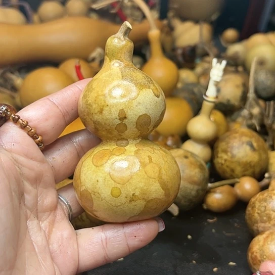 ꧁**꧂葫芦葫芦葫芦葫芦