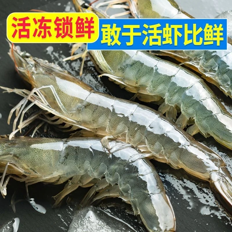 2030规格大虾12-18cm 活虾速冻 带箱5斤到手40-60只