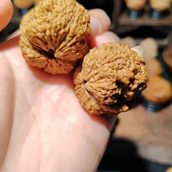 把件文玩核桃铁皮蚂蚁纹