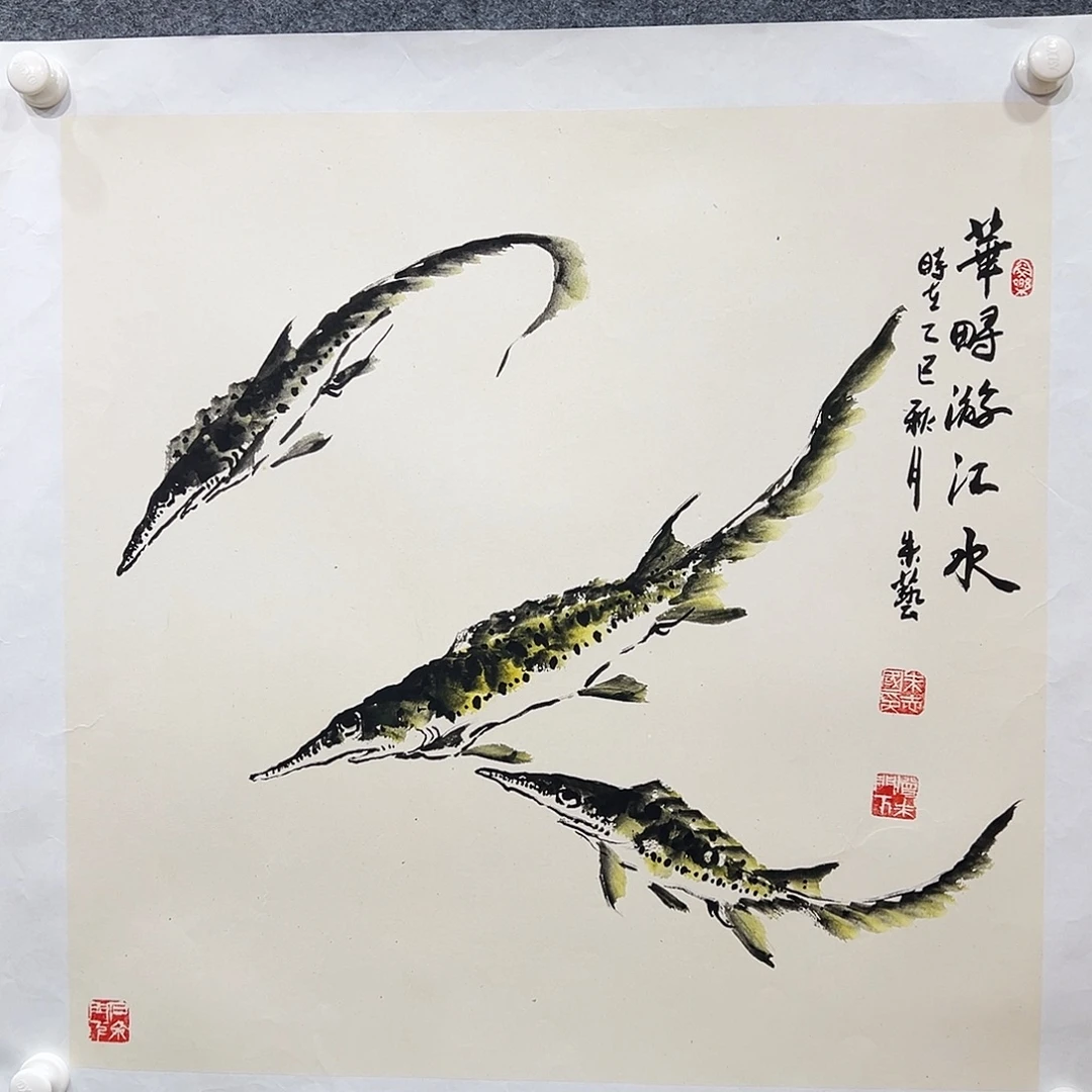 国画知鱼之乐纯手绘