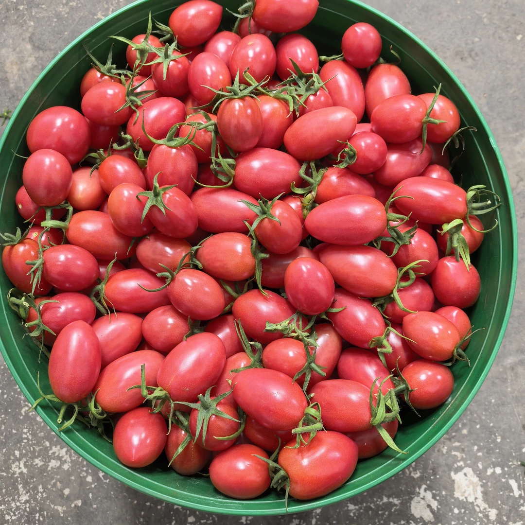 新鲜小柿子顺丰包邮粉色