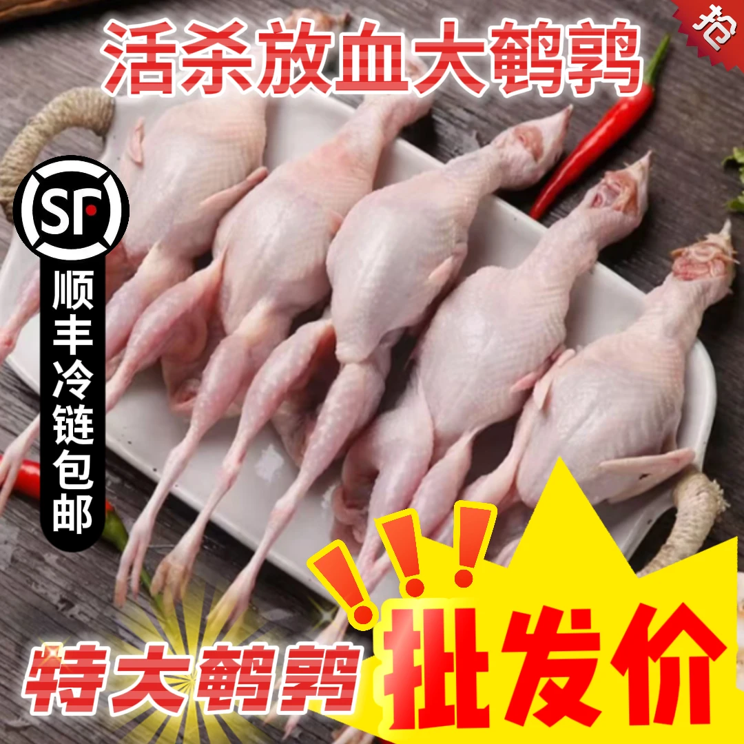 【单只3两】特大现杀鸟白条大现杀现发放血老母鹌鹑生鲜
