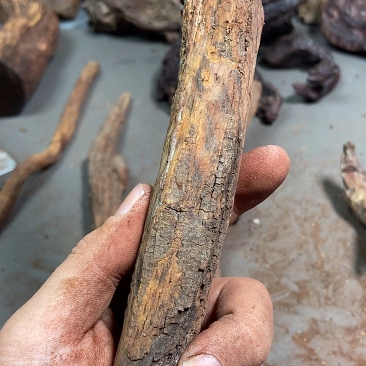 黄花梨/降香黄檀刚*海南红降