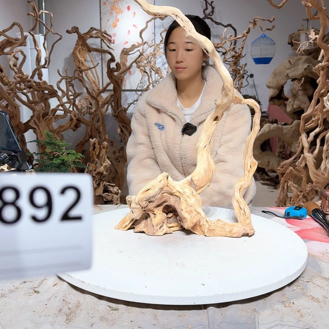 风车木（黑檀木）霞*飞