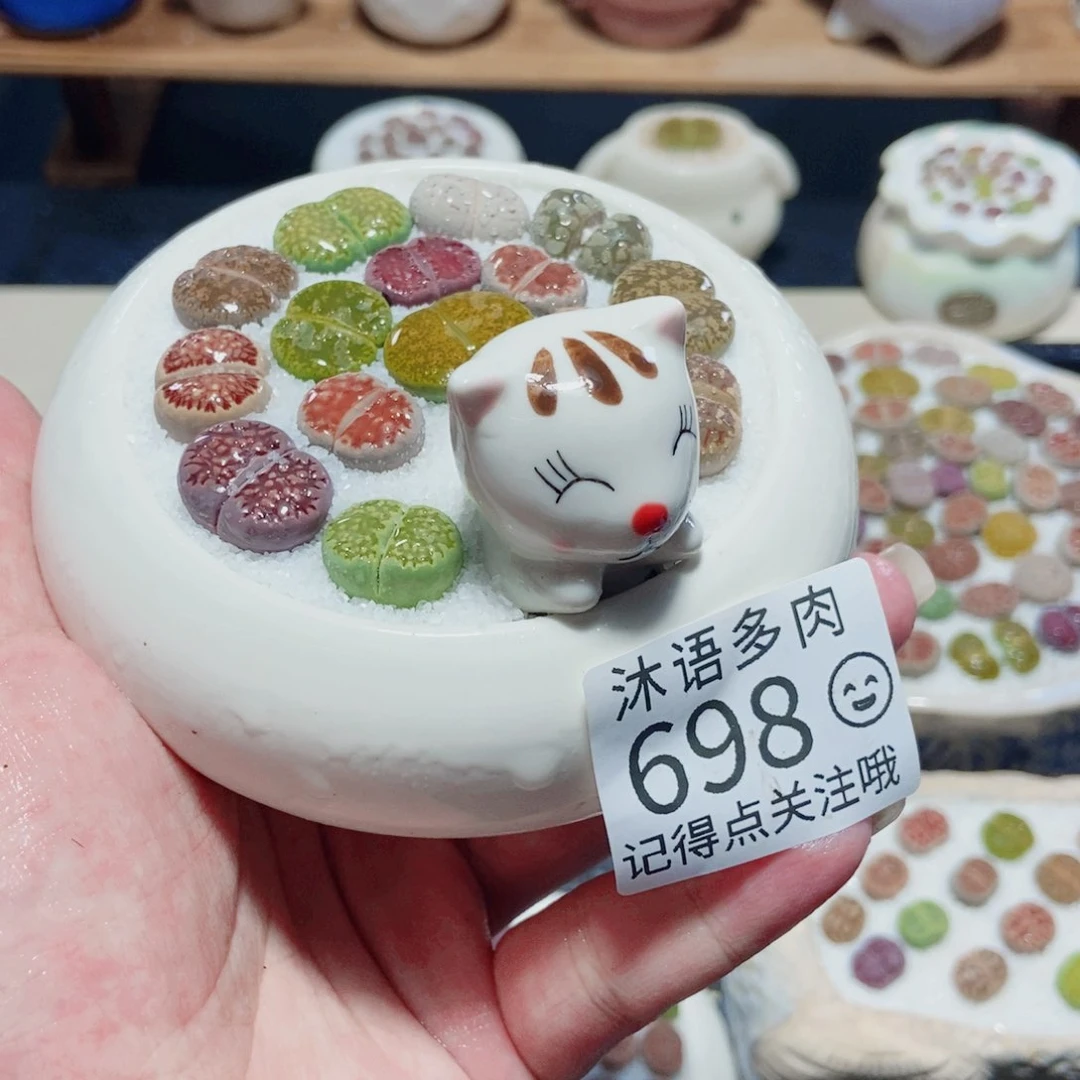 所见即所得 一物一拍 698