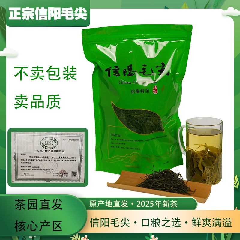2025年信阳新茶绿茶嫩芽正宗信阳毛尖绿茶口粮茶毛尖绿茶2025新茶