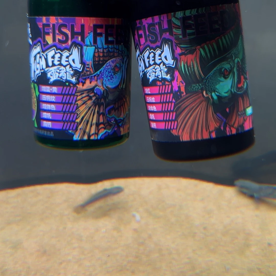 热带鱼公101111111