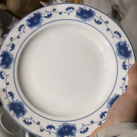 瓷其他8寸平盘一个