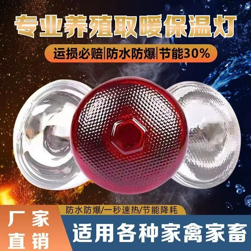 新款养殖保温灯品质保证100个月使用寿命 猪场鸡舍鸭棚恒温取暖