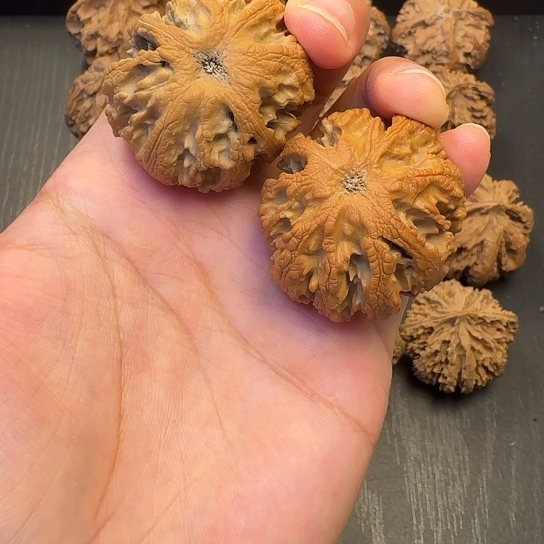 M****核桃突突突突突突突突突突突突