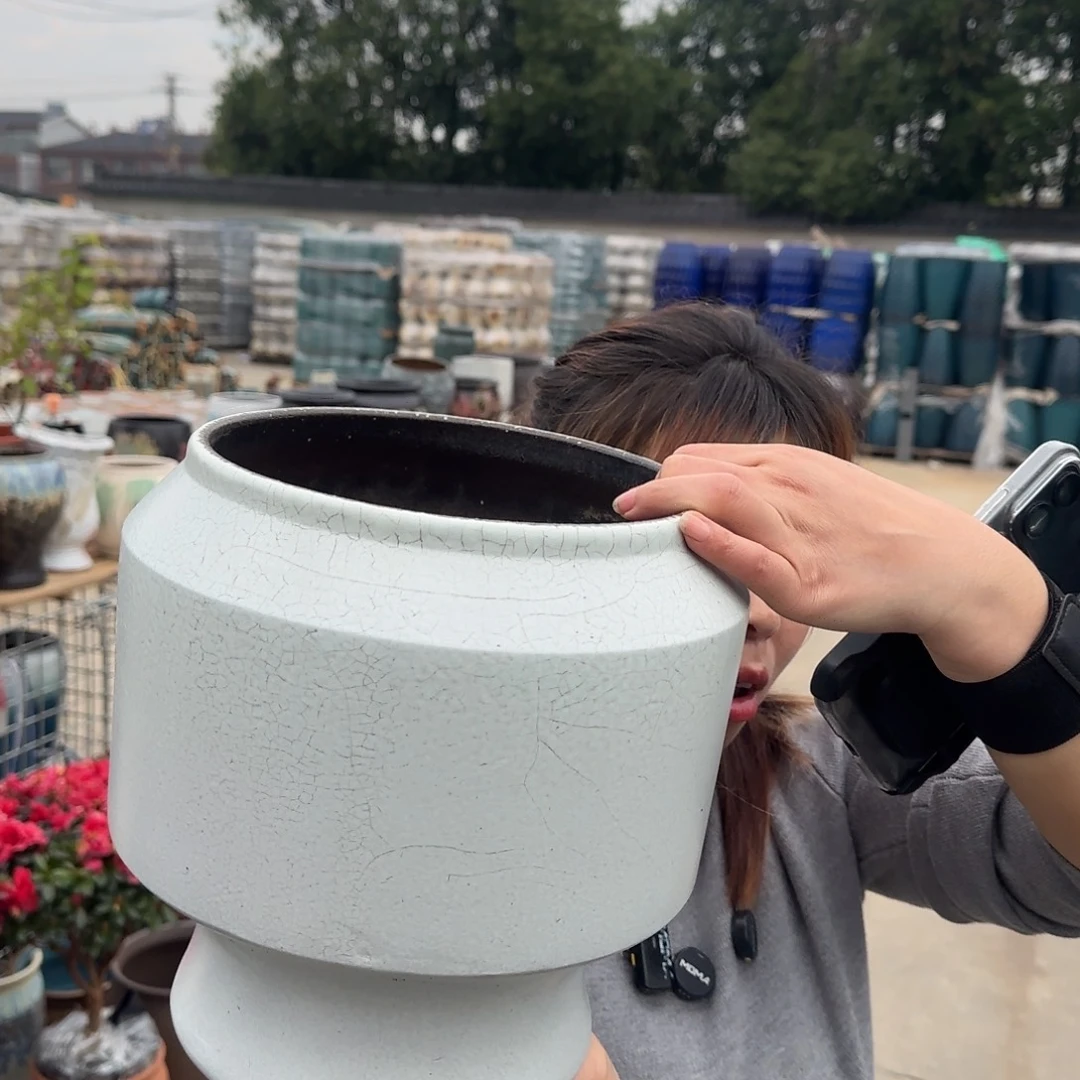王嫂花盆1112-355高25口20微瑕