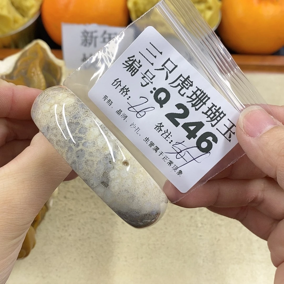 硅化珊瑚（珊瑚玉）1未镶嵌心****r