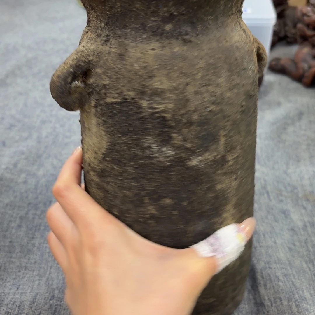 非常美丽漂亮的物品