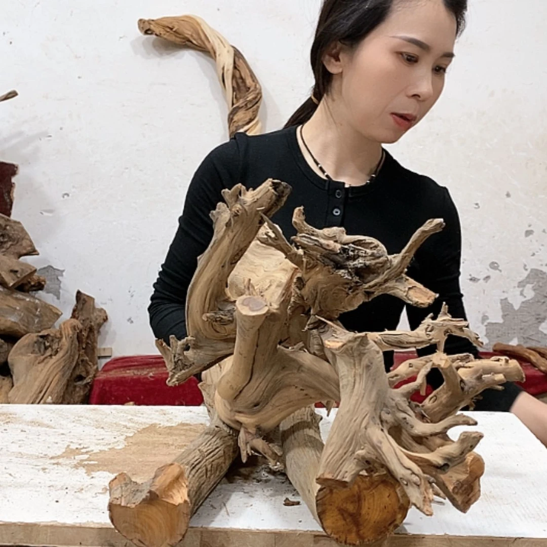 【闪购商品】柏木v****子我们都是好孩子