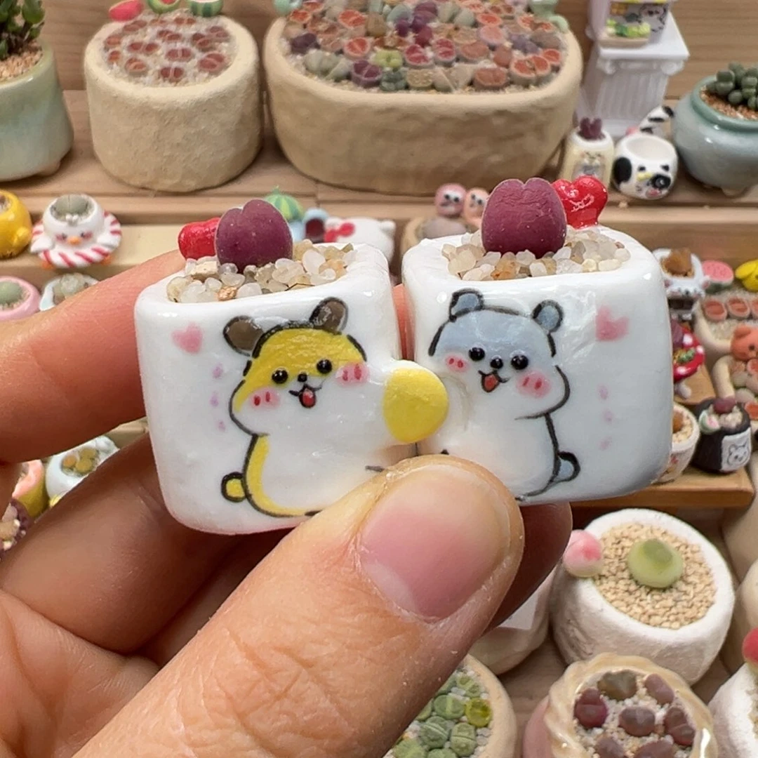 多肉植物116号一对