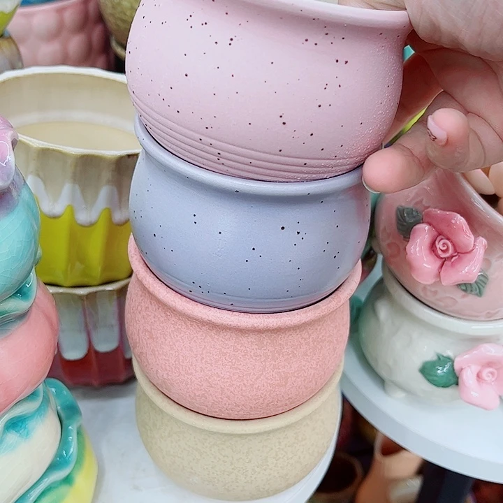 多肉植物陶瓷花盆