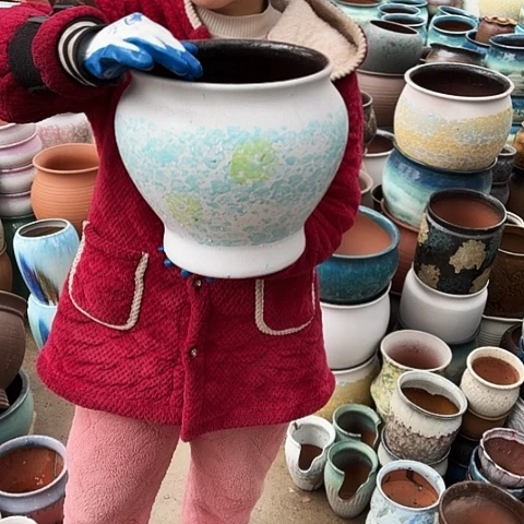 26口27高瑕疵口裂