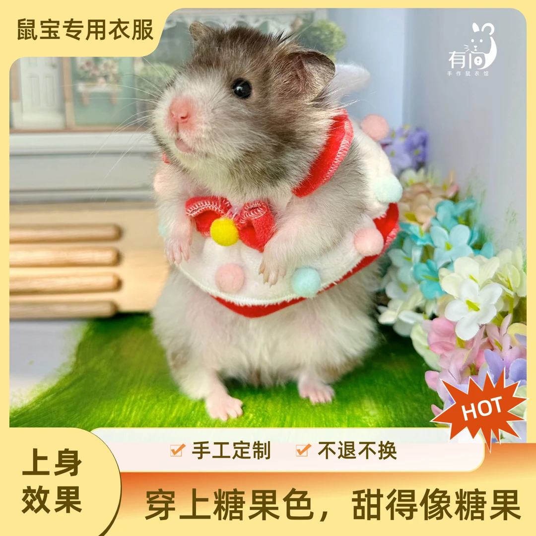 金丝熊衣服花枝鼠松鼠蜜袋鼯定制糖果色小伞裙   全店满2件包邮