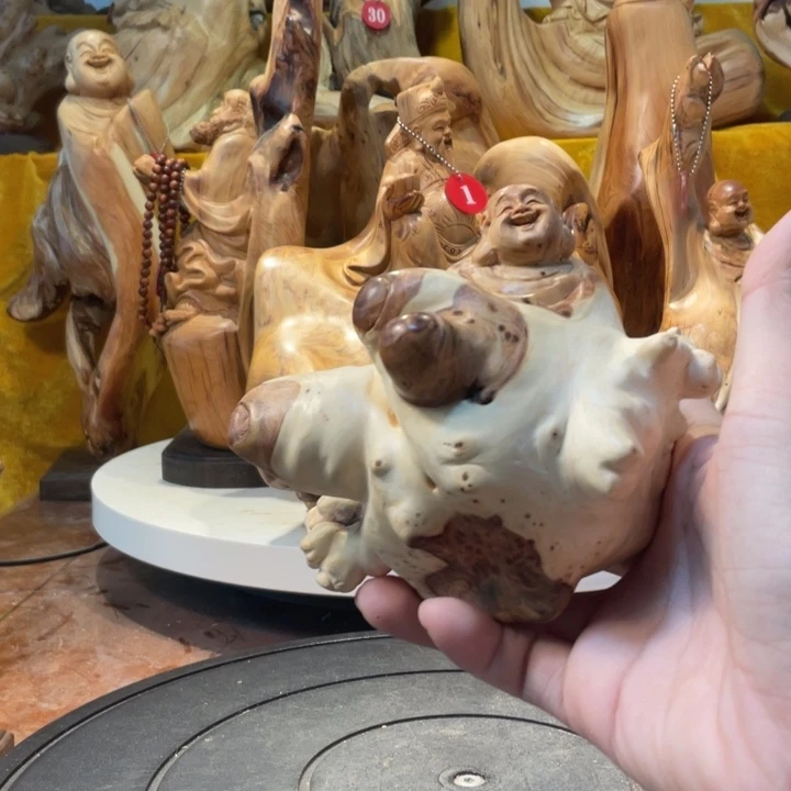 柏木（崖柏）  弥勒