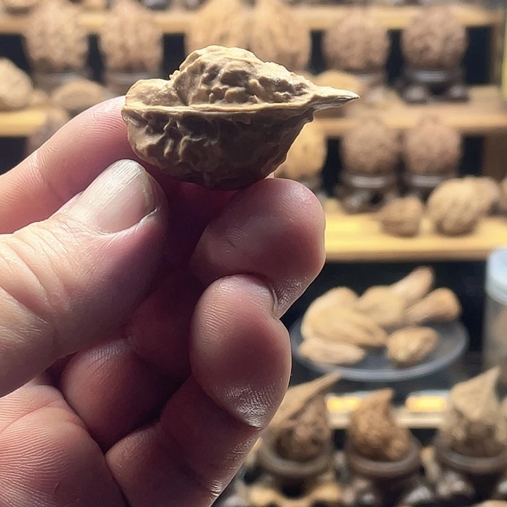 把件文玩核桃尖嘴鸟