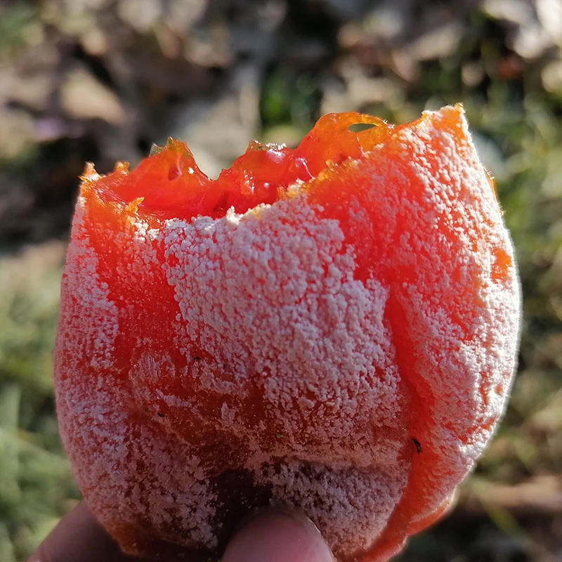 陕西富平头茬新鲜流心吊柿饼自然晾晒独立包装软糯香甜