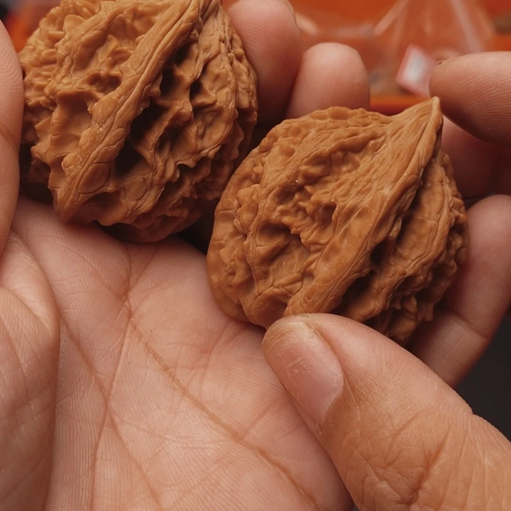 核桃大沽石40尺核桃