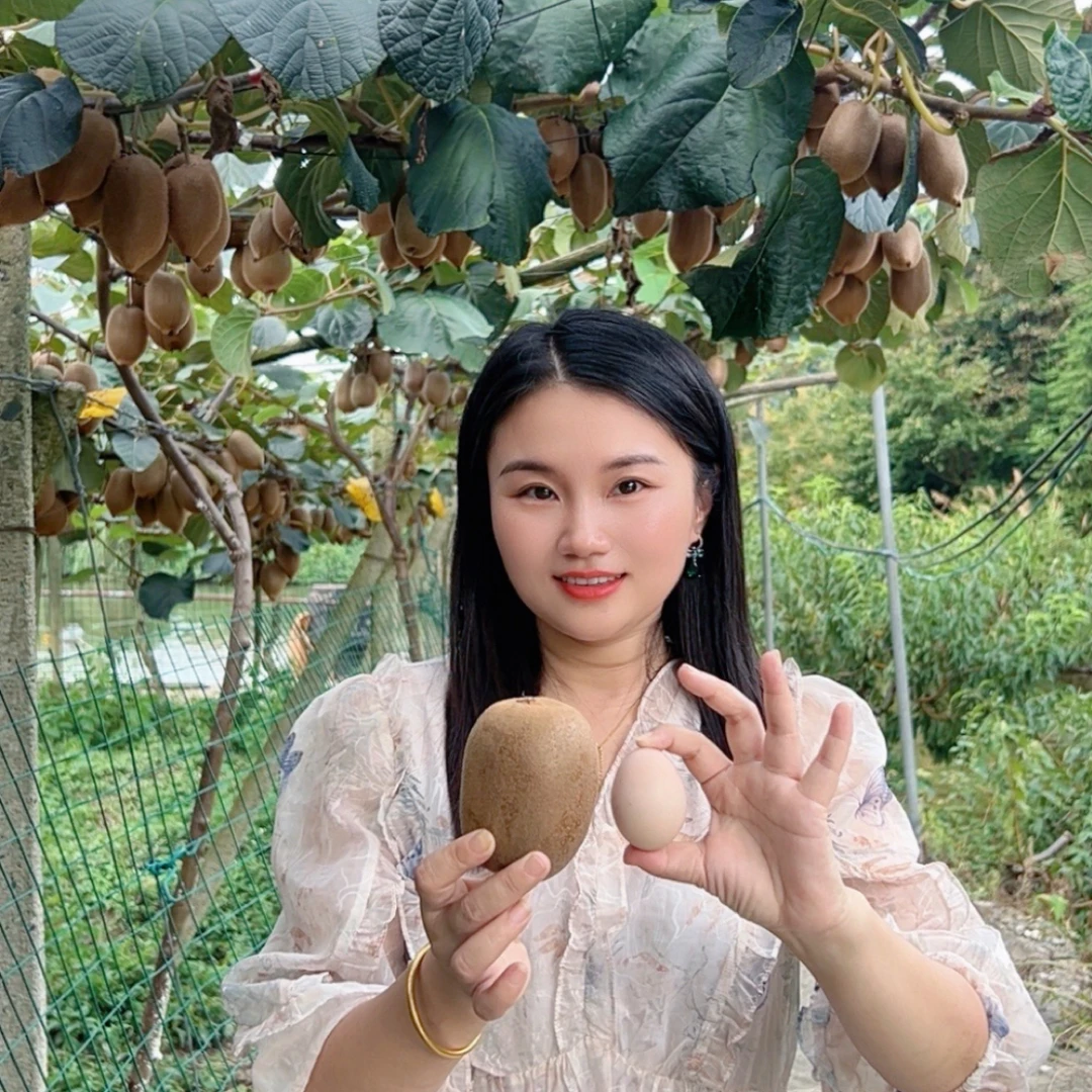 安化高山猕猴桃礼盒装产地直销现发现摘高品质奇异果新鲜水果中秋