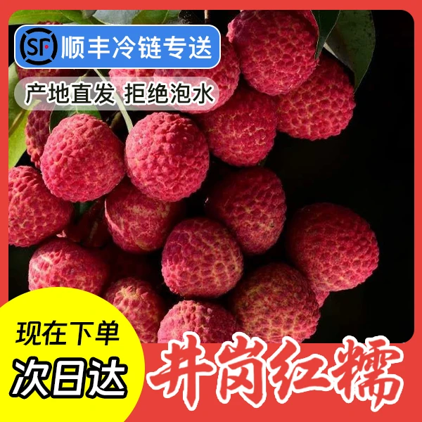 正宗从化井冈红糯 30年老树果现摘现发 顺丰冷链包邮