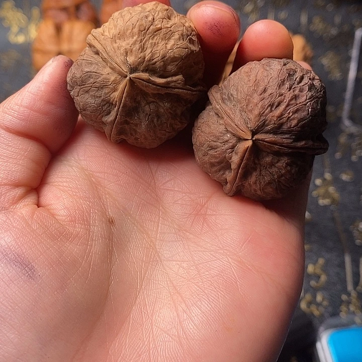 文玩核桃吊坠铁核桃35