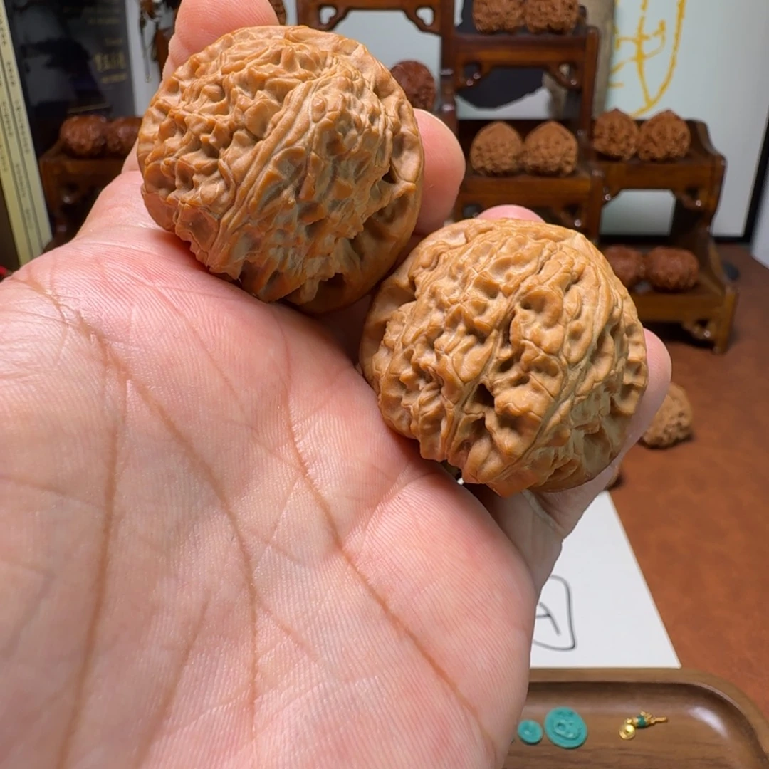 道哥俱乐部f白狮子43