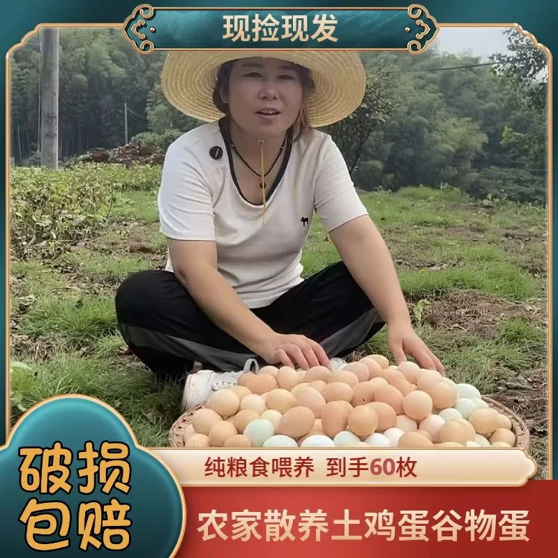 A顺丰/京东【买50枚粉壳赠10枚绿壳】新鲜谷物喂养土鸡蛋60枚/2400g