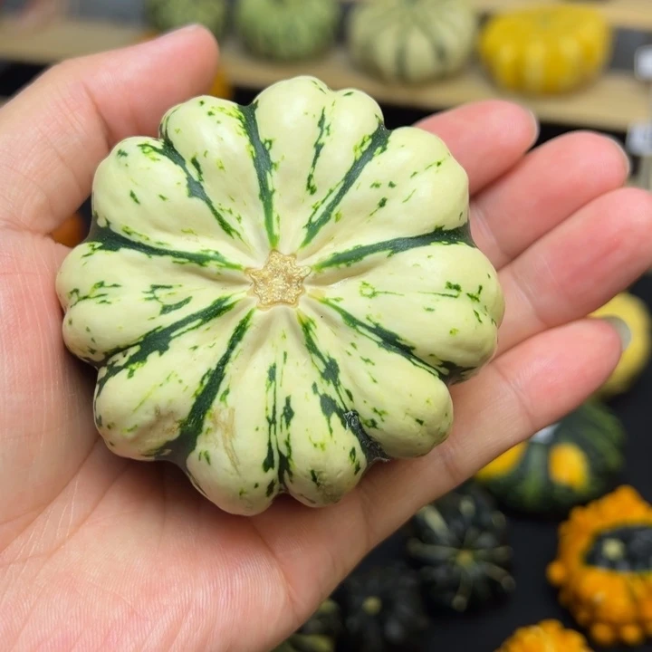 霸**舅福利福利福利来啦