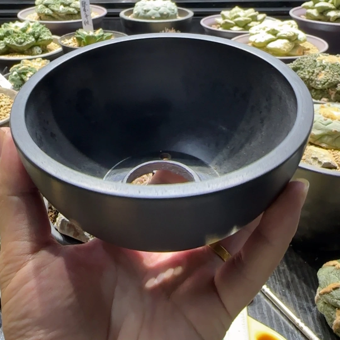 日式蛋盆11cm盆口开播福利