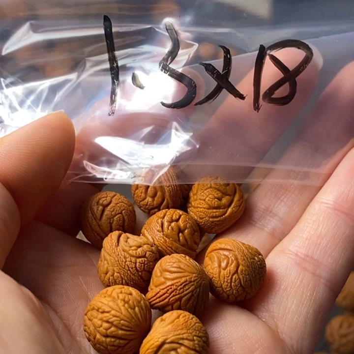 文玩核桃手串秦岭野生龙纹桃核13