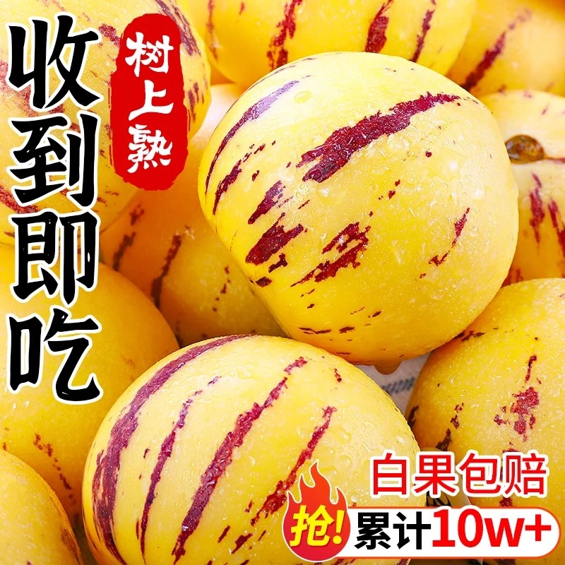 云南石林树上熟黄肉圆果果新鲜清甜多汁当季水果