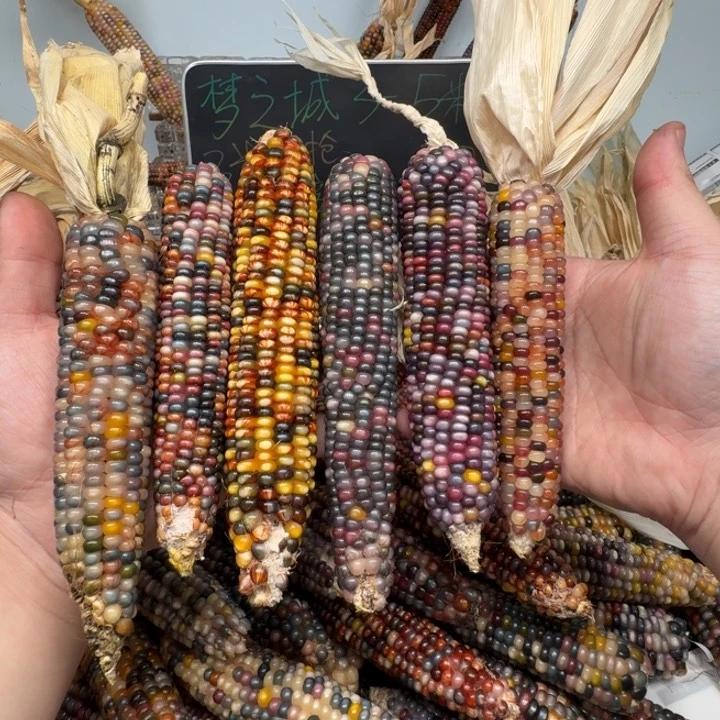 柏香籽/百香籽吊坠一****.