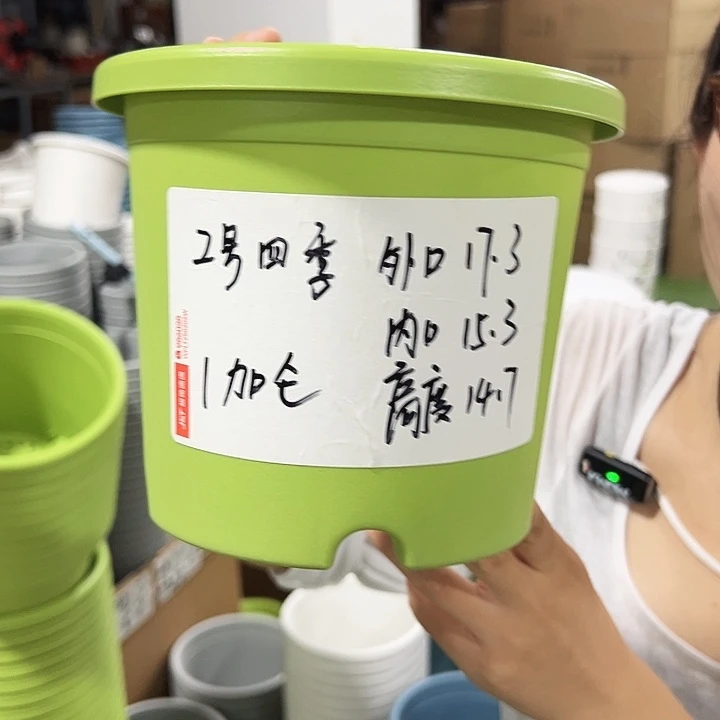 特价2号四季口17高15果绿10只无托
