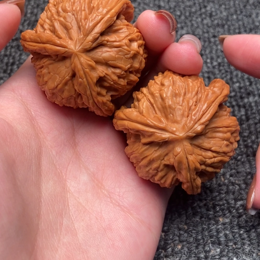 糊***涂木质类白狮子正奔