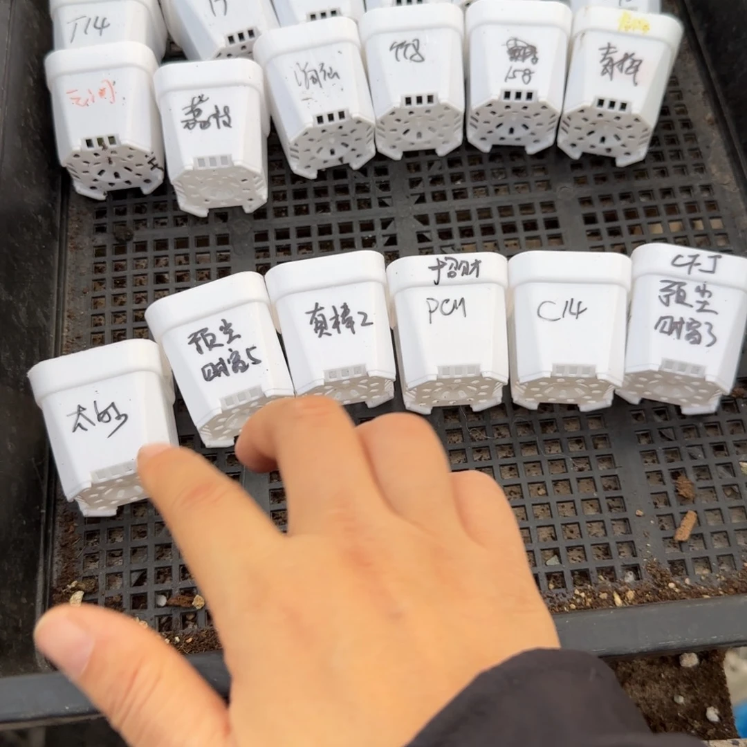 财富6件套满25包邮