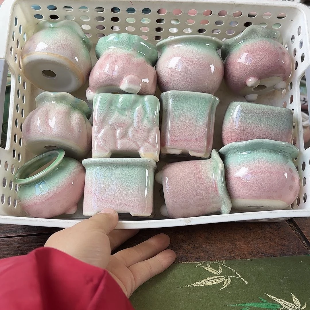 量货/4-5口高深浅搭配发12