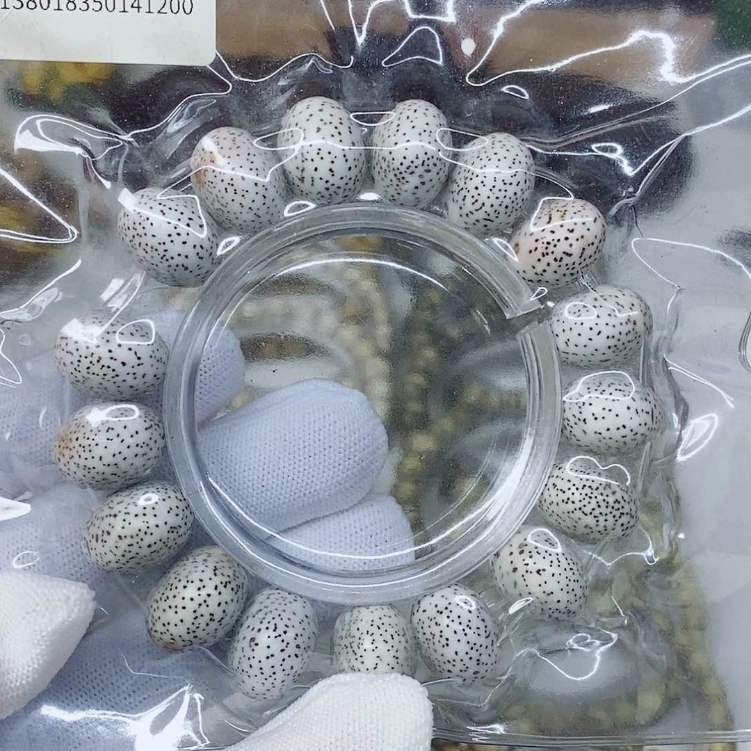 星月菩提手串脱脂