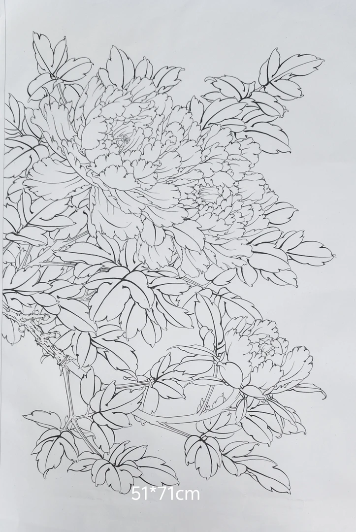 工笔牡丹白描底稿