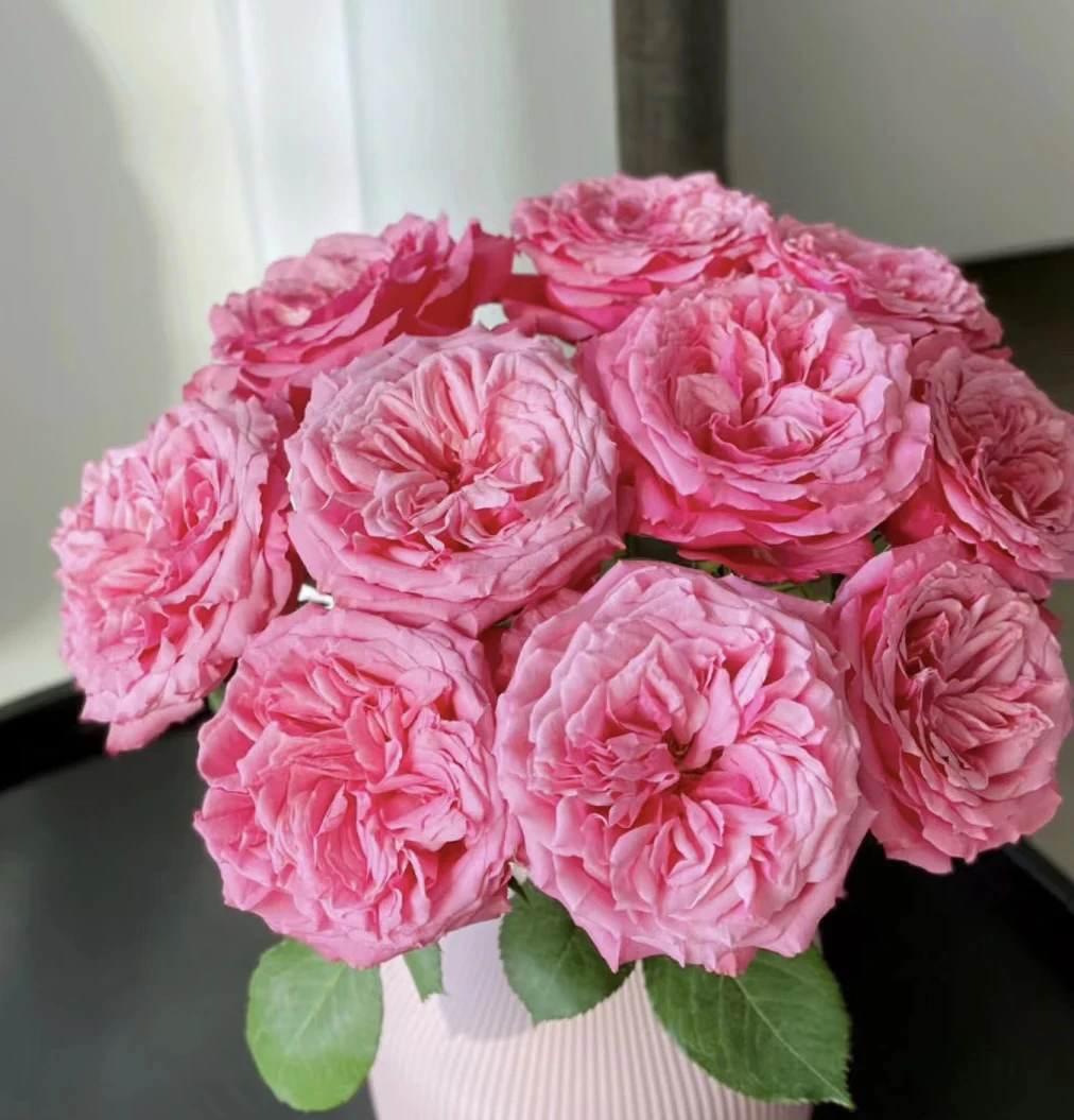 【小红莓】花农直发，全场任意两单顺丰包邮，一单需补邮费！