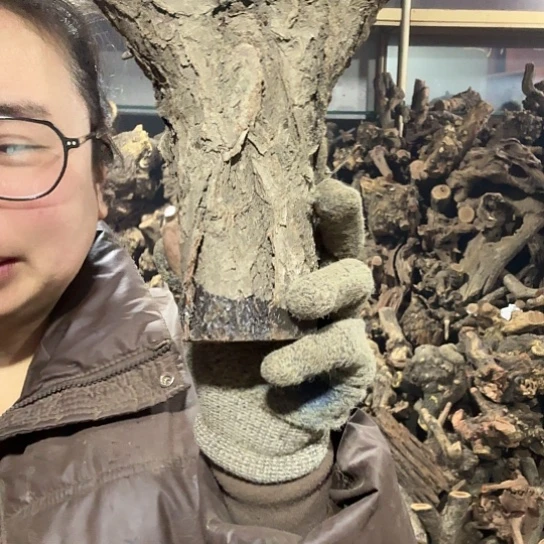 香榧木李*火琉璃的故事毛料摆件