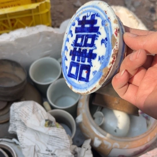 你***的杂色豆（科檀/科特迪瓦檀木）