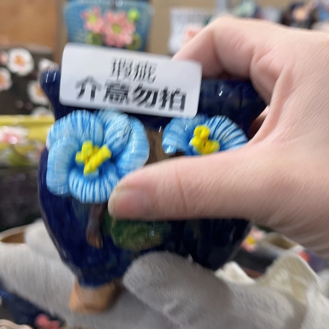 【闪购商品】红陶福利