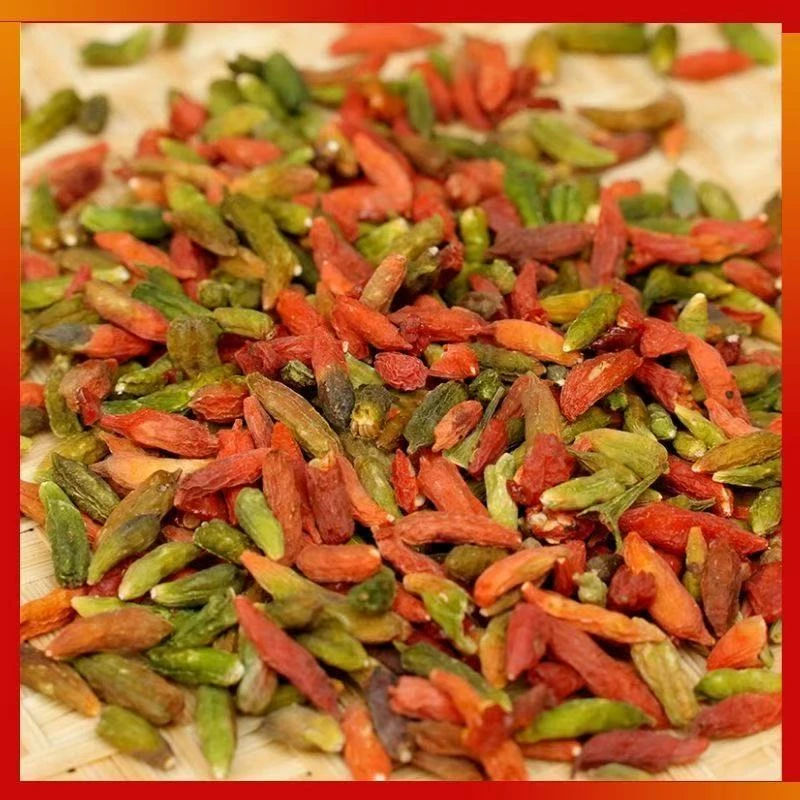 [菲儿采摘] 云南高原七彩枸杞 美丽与能力的完美结合