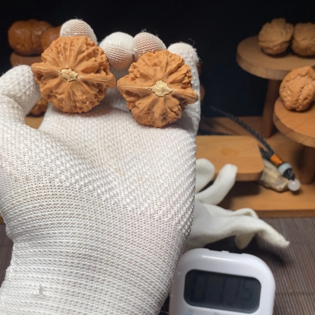 松***结核桃等经济林果地和好